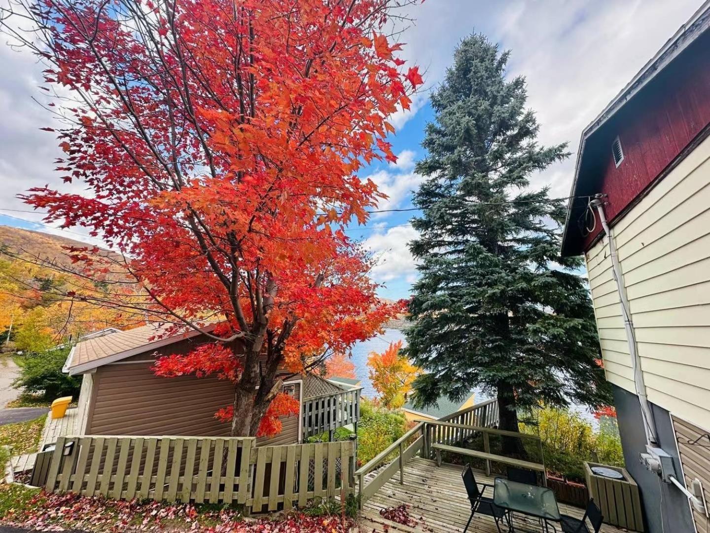 Knotty Pine Cottages, Suites & Motel Rooms Ingonish Luaran gambar